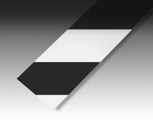 PL-BlackWhite-300×240